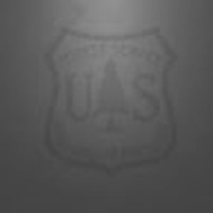 Meet your Posher, Ivan